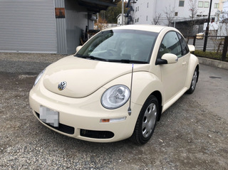 Beetle001.jpg