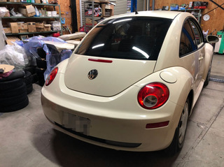 Beetle002.jpg