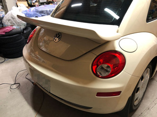 Beetle003.jpg
