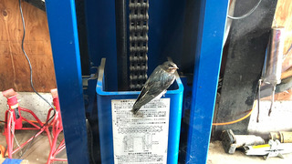 fb_pic05069.jpg
